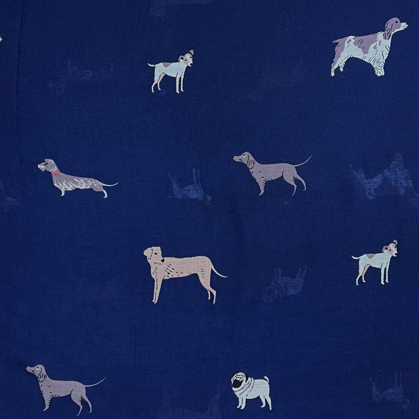 London Scarves - Dog printed scarf