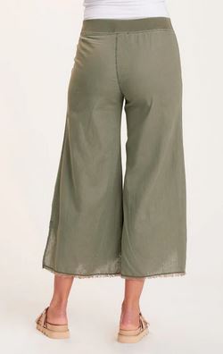 Astri Pant