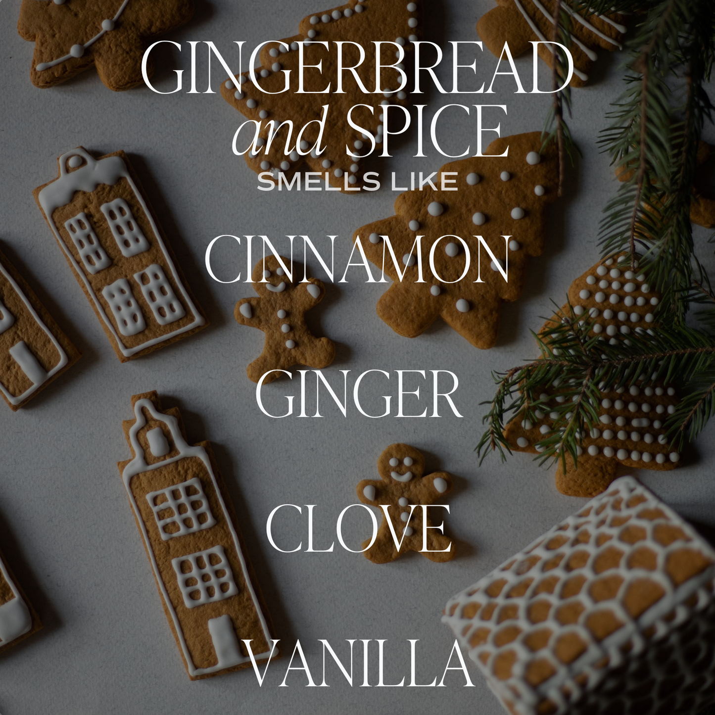 Sweet Water Decor - *NEW* Gingerbread and Spice 11 oz Soy Candle - Christmas