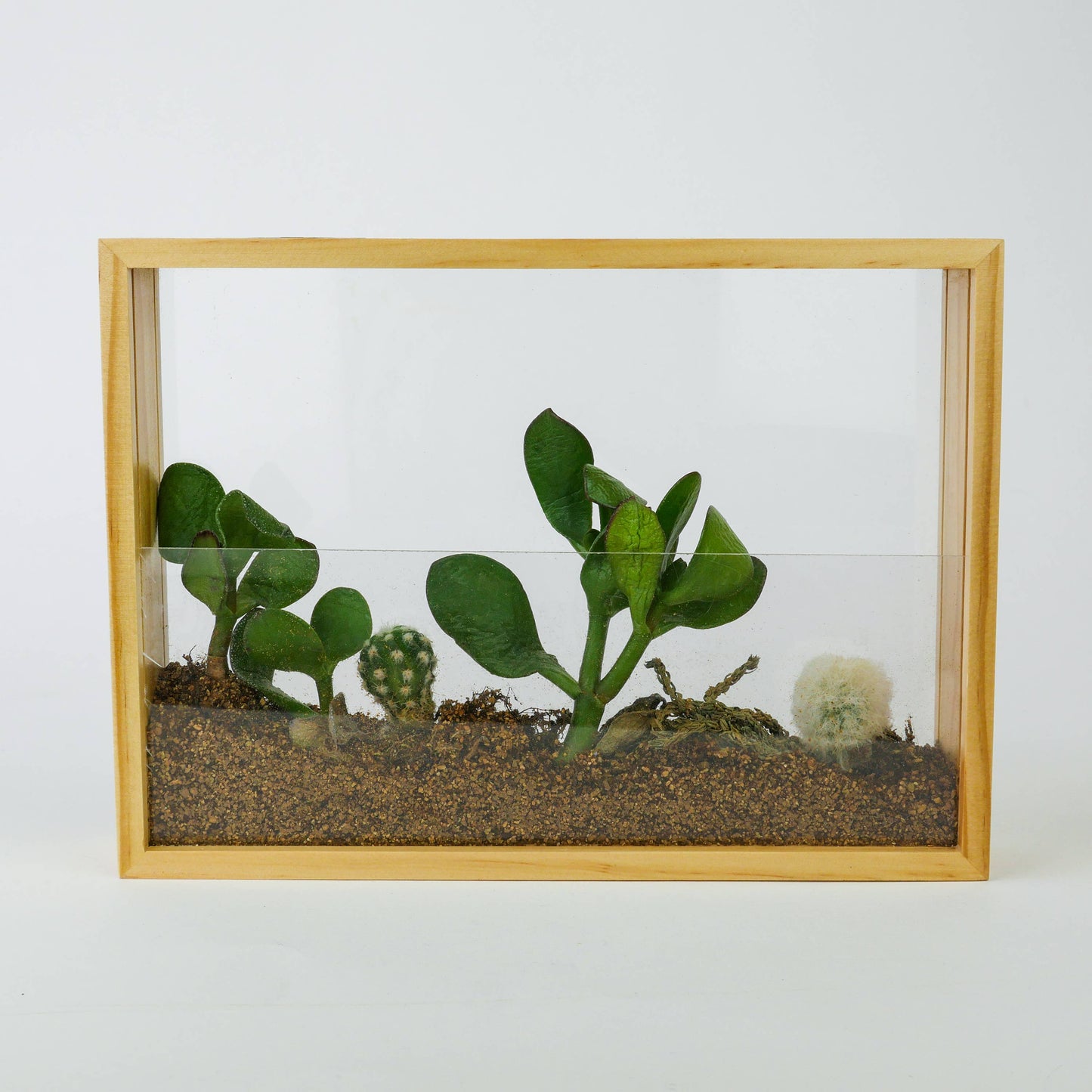 Gift Republic - Vertical Garden