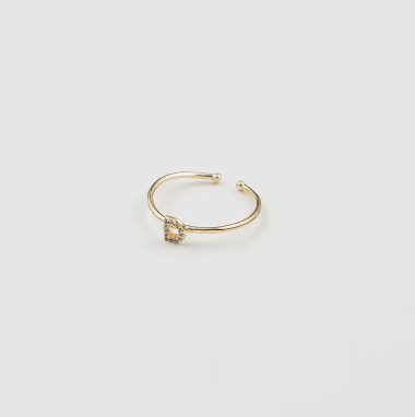 Initial Ring - Adjustable
