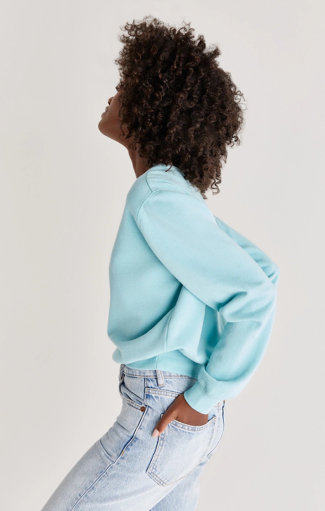 Z Supply Classic Crew Sweatshirt