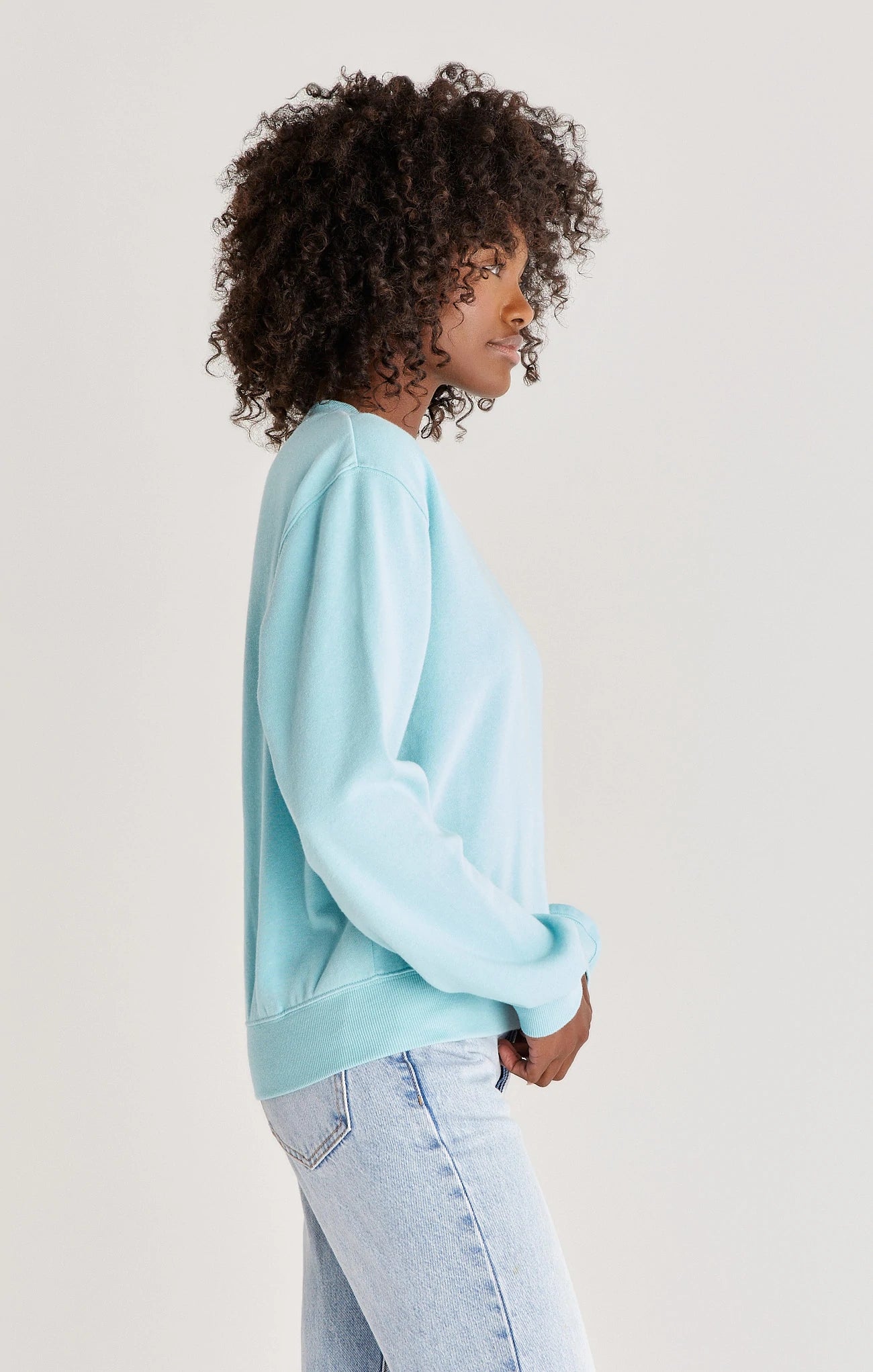 Z Supply Classic Crew Sweatshirt