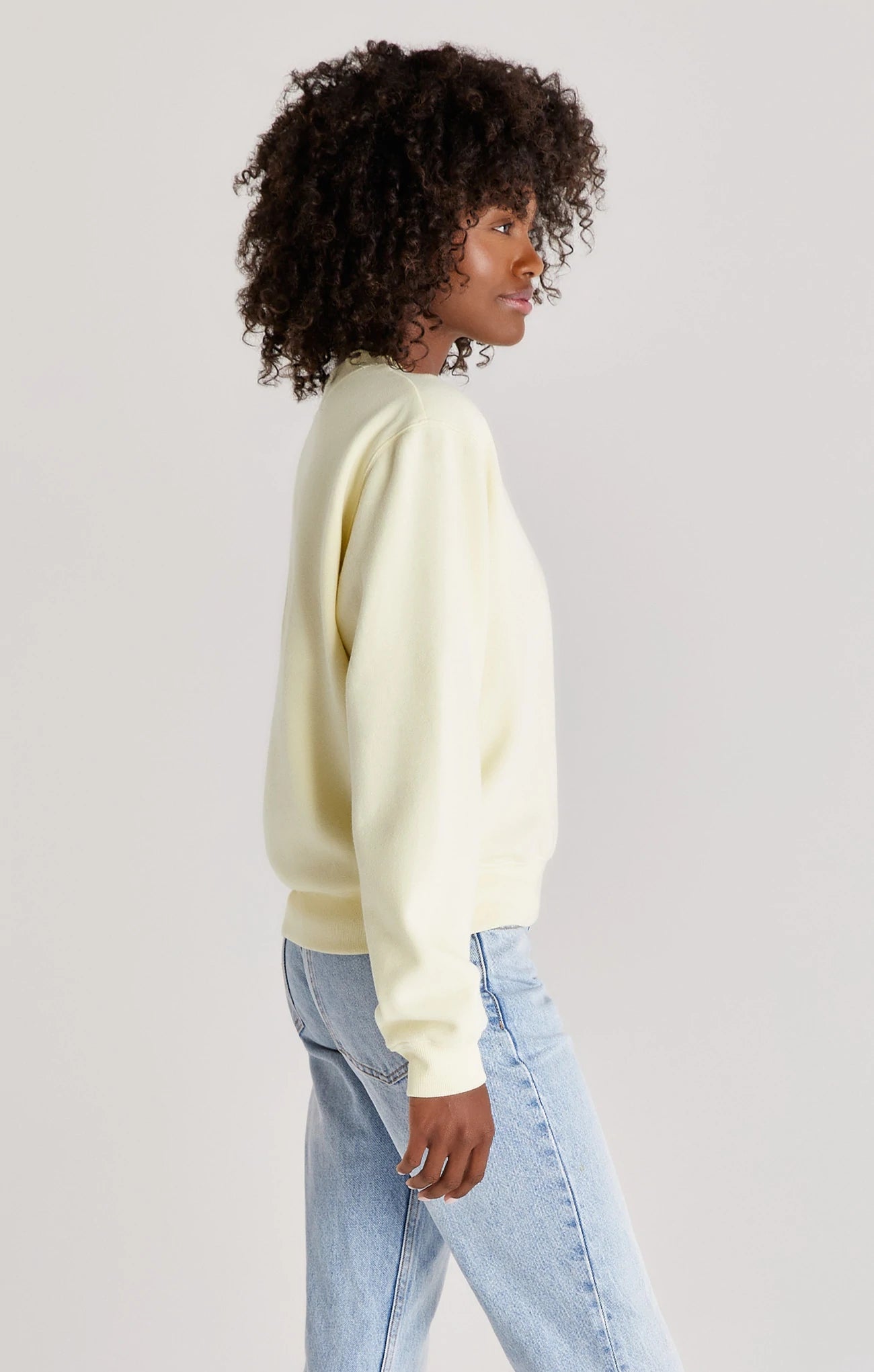 Z Supply Classic Crew Sweatshirt