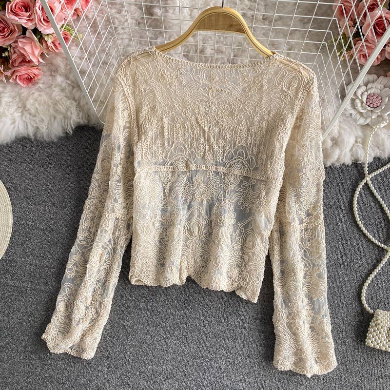 Hope & Sunshine - Crochet Cutout Long Sleeve Lace Mesh Top