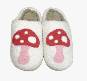 Novelty Slippers