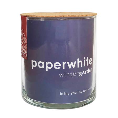 Potting Shed Creations, Ltd. - Essential | Paperwhites | Fall & Christmas | Best Seller