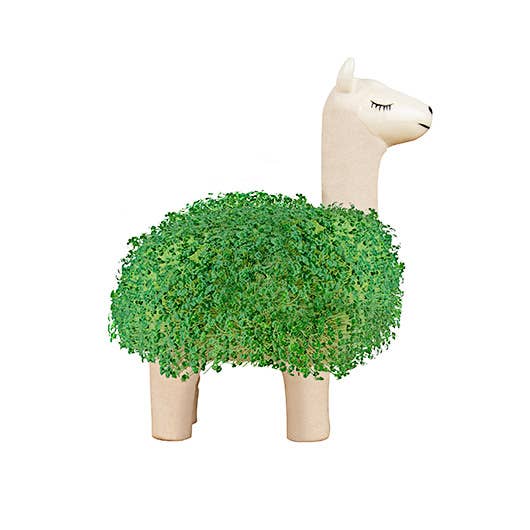 Gift Republic - Llama Planter