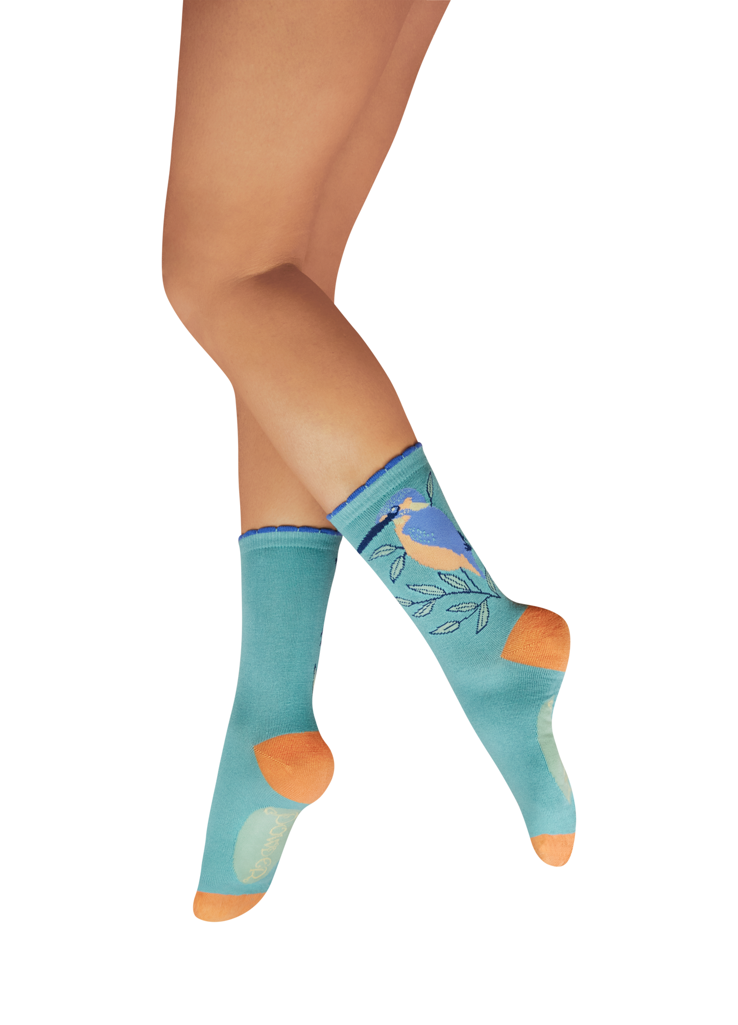 Powder Design inc - US - Ladies' Ankle Socks - Dignified Kingfisher