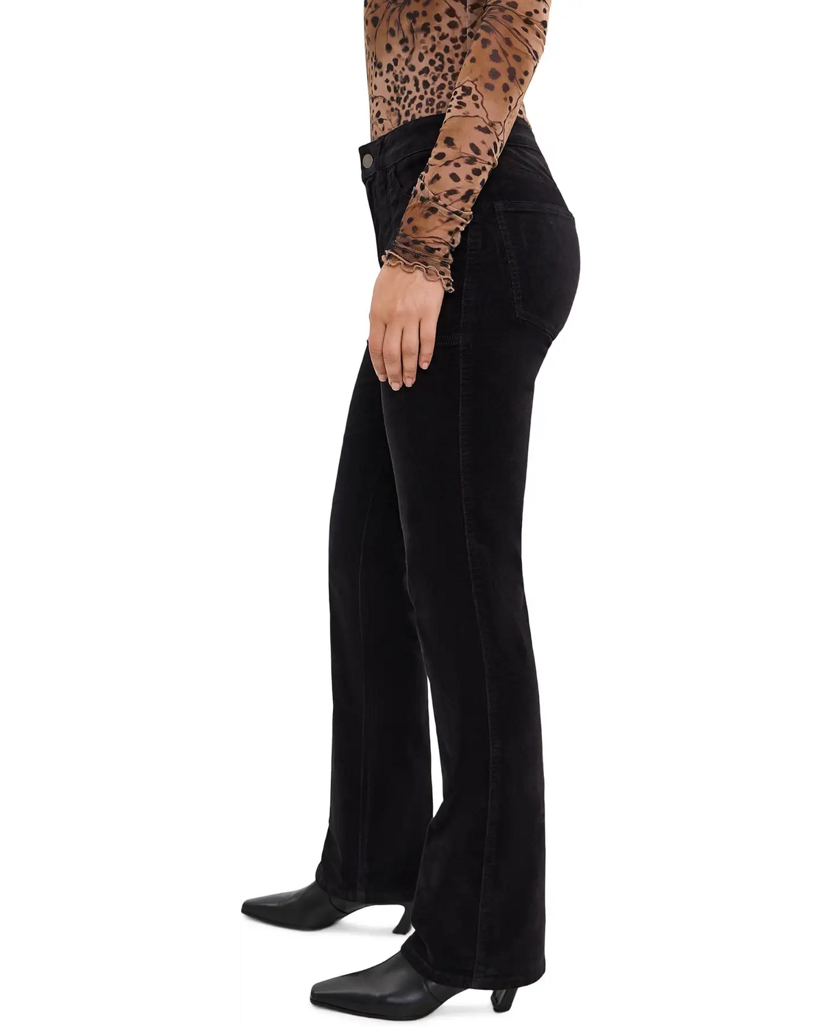 Play Date Velveteen Bootcut - Sanctuary