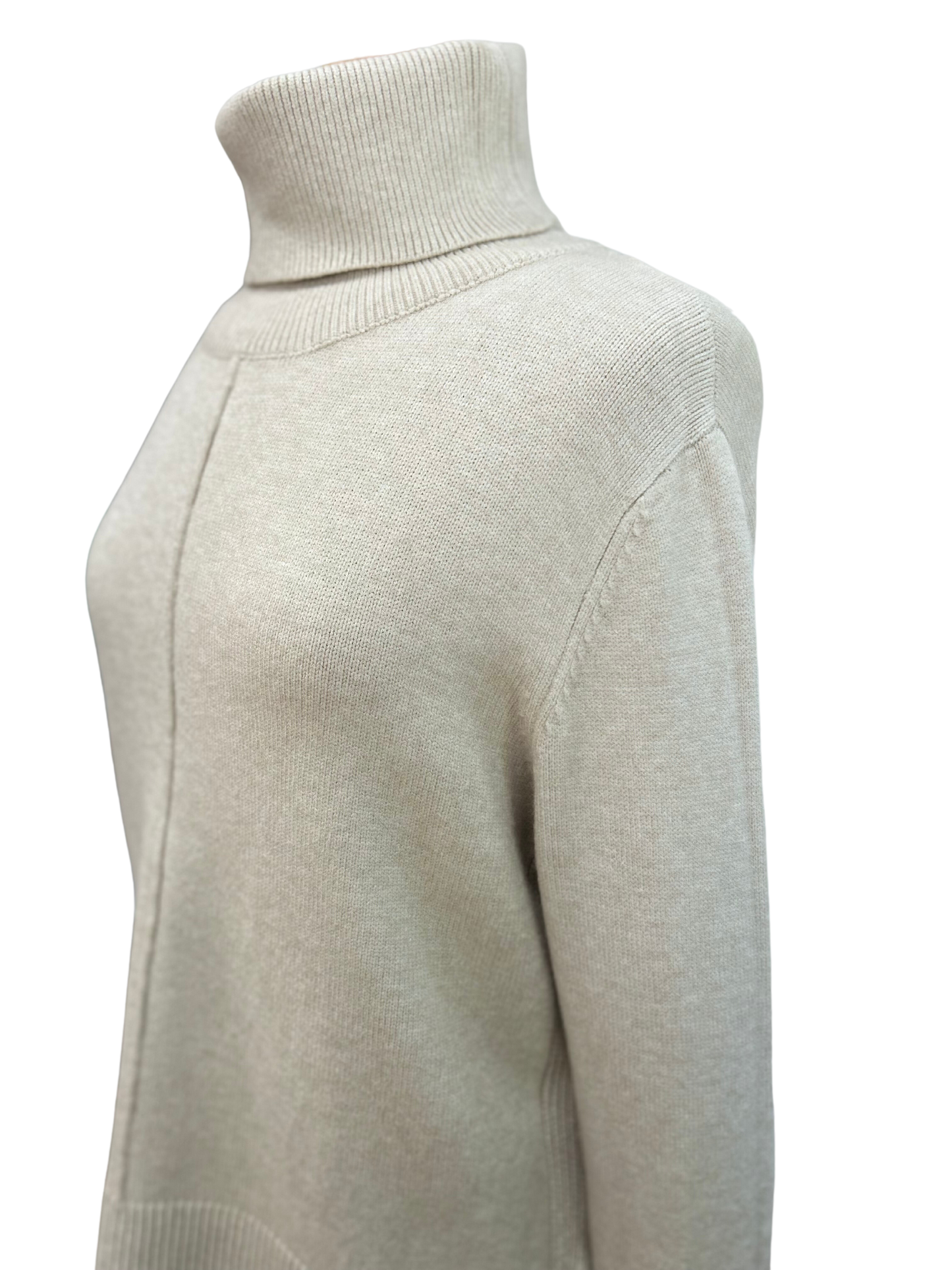 Long Sleeve Turtle Neck Sweater