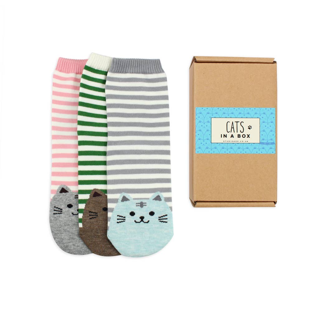 Studio Hop - Cat Socks in a Box