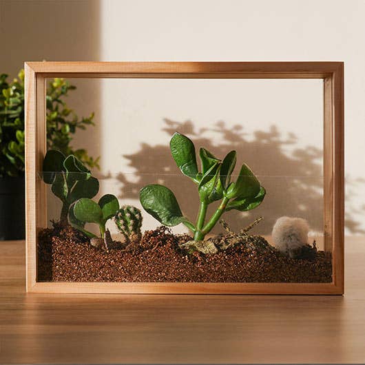 Gift Republic - Vertical Garden