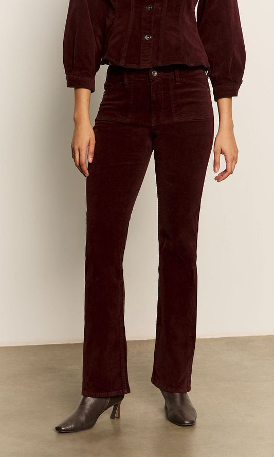VELVETEEN BROOK BOOTCUT
