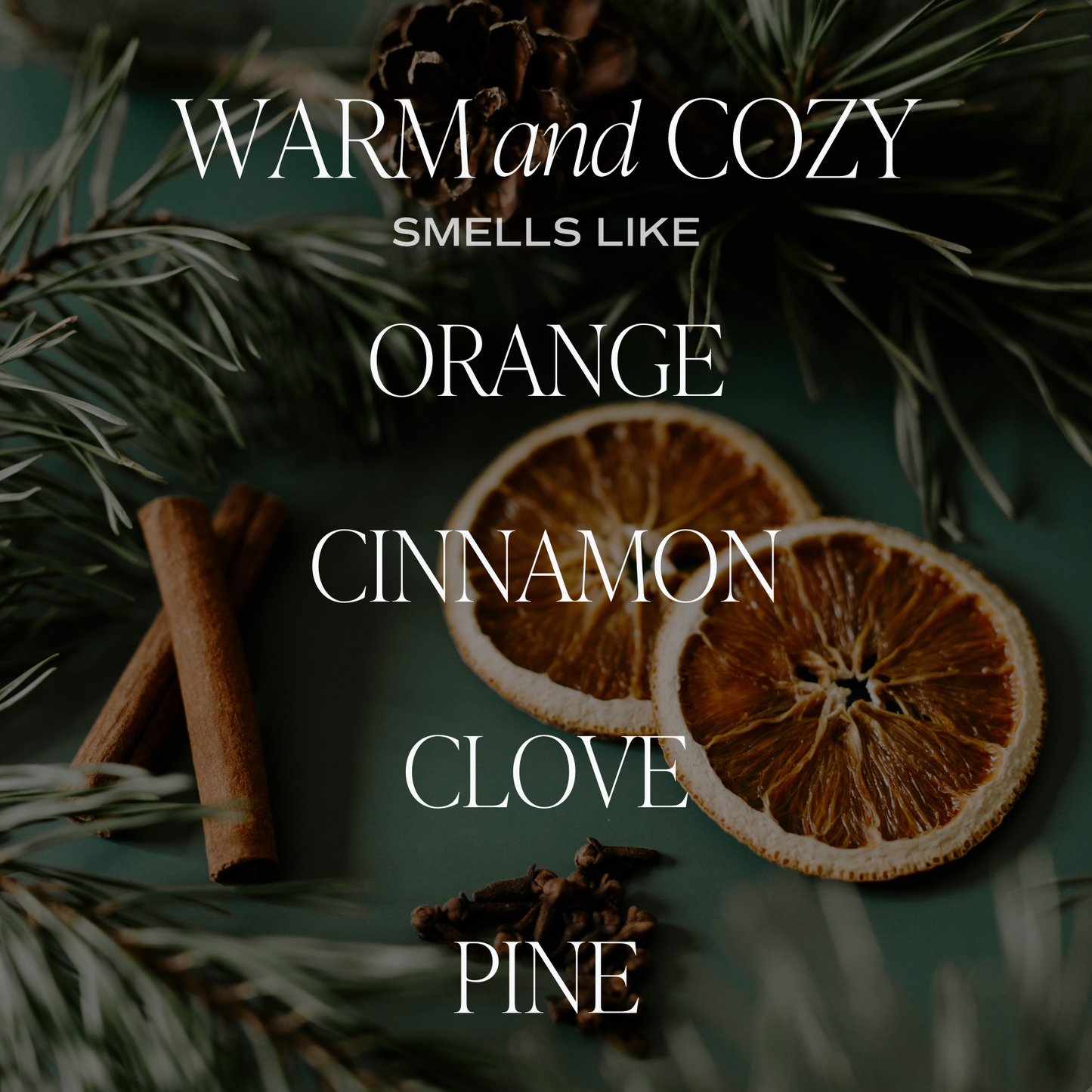 Sweet Water Decor - Warm and Cozy 11 oz Soy Candle - Christmas Home Decor, Gifts