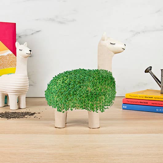 Gift Republic - Llama Planter