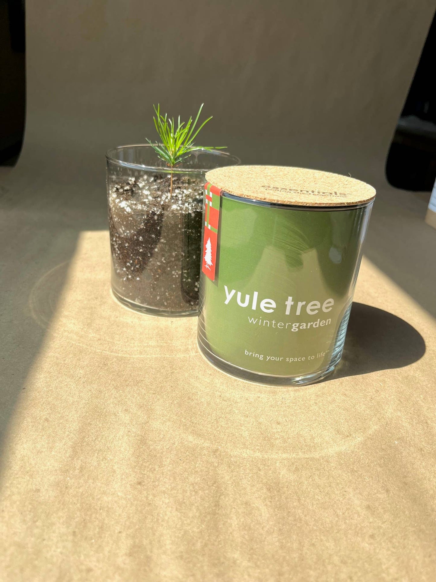 Potting Shed Creations, Ltd. - Essential | Christmas Tree | Hostess gift | Teacher gift