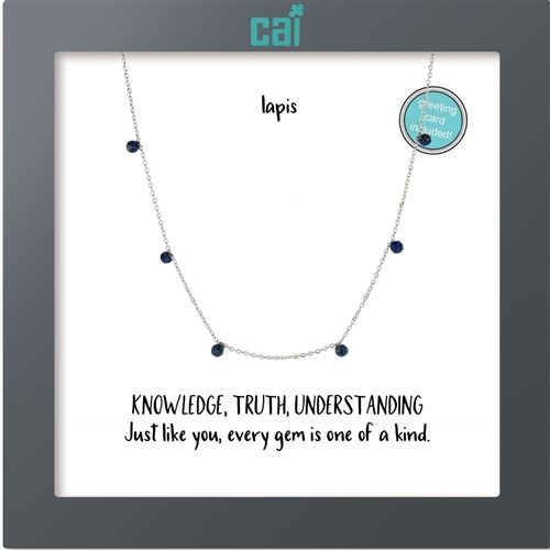 809-SS/LAPIS