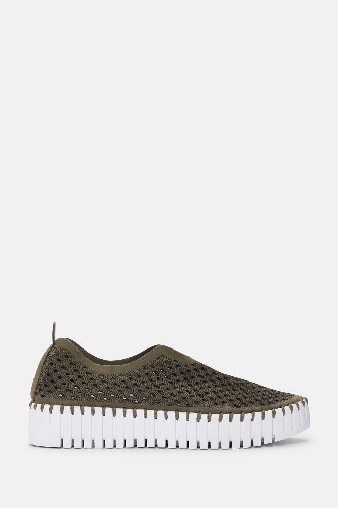 deep olive / 38