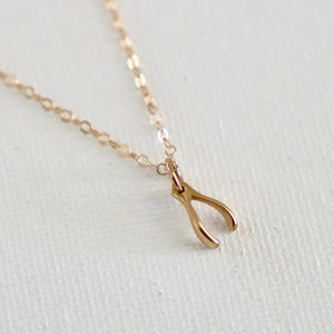 Katie Waltman Jewelry - Petite Gold Wishbone Necklace