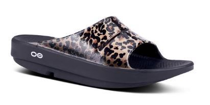 Leopard / W6